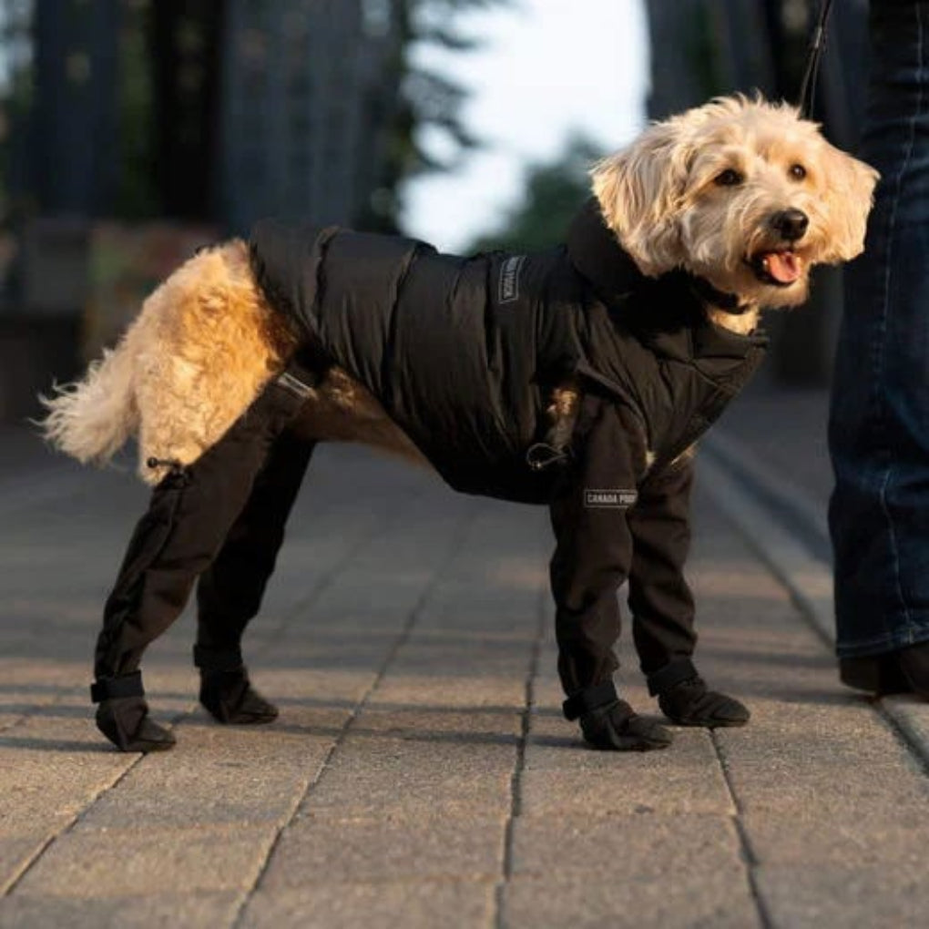 Durable Dog Boots