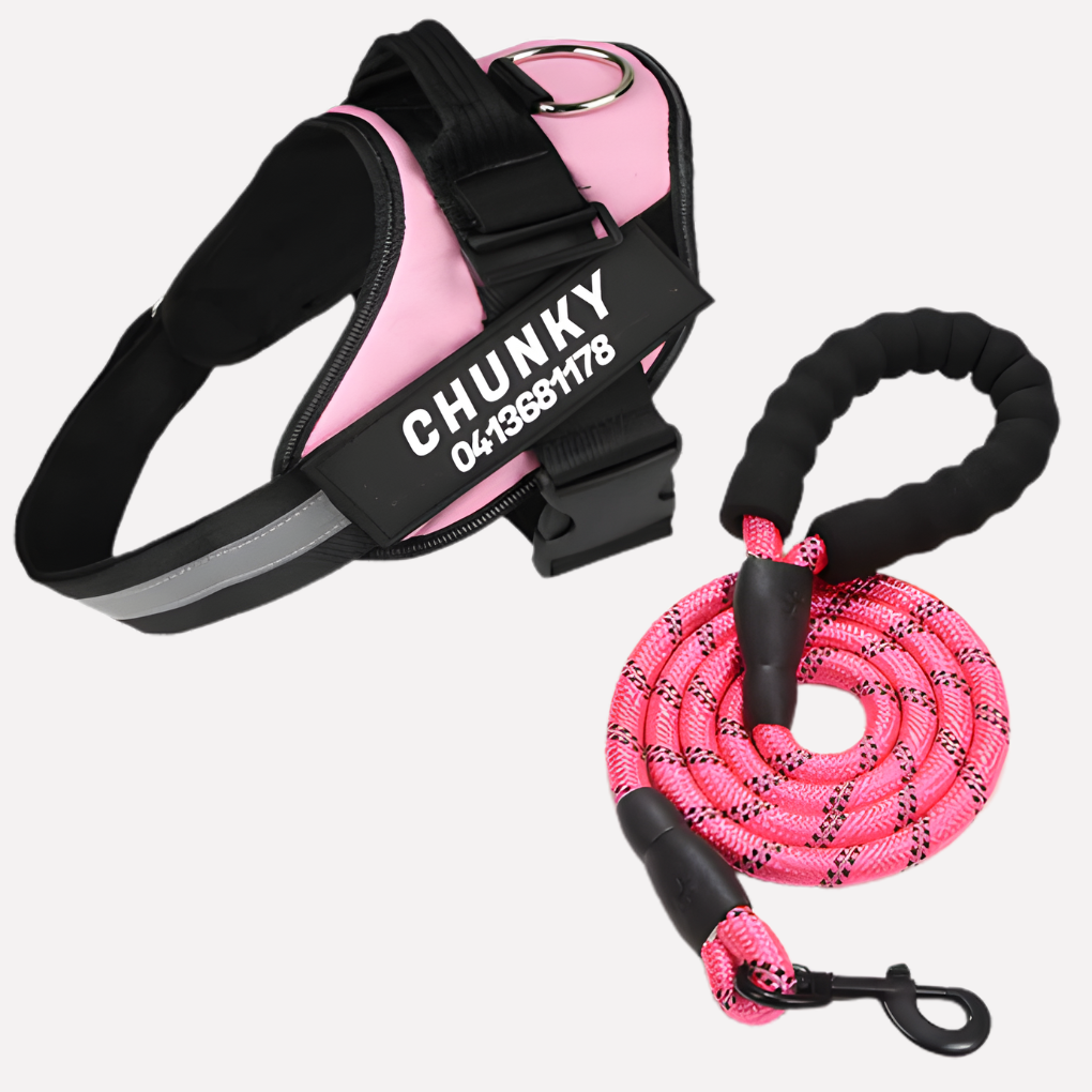 Personalized Anti‑Pull Dog Harness