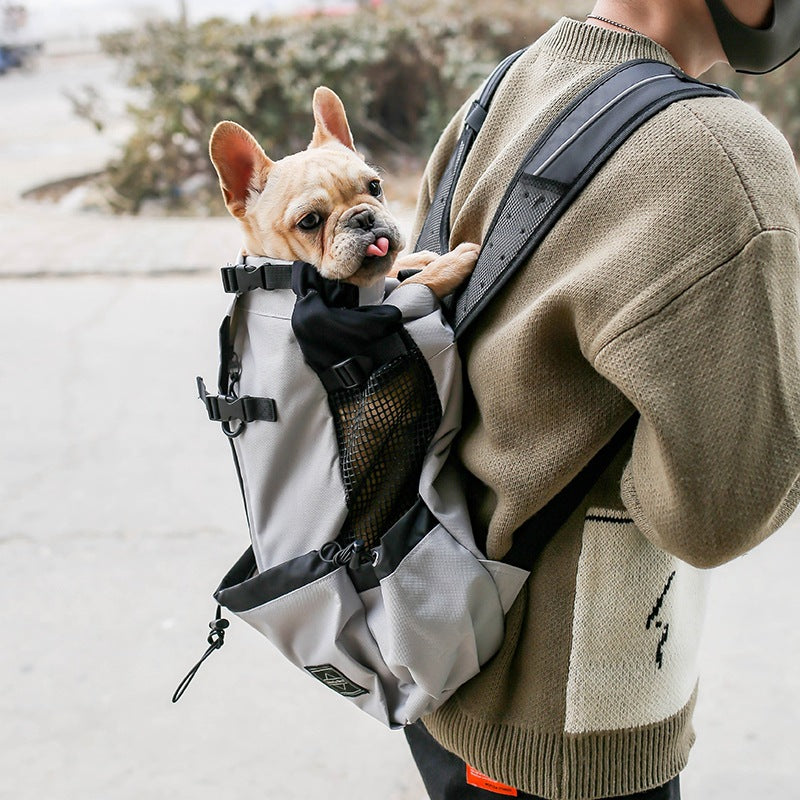 Portable Dog Carrier Bag with Breathable Design | Lightweight Travel Backpack for Small Dogs 1