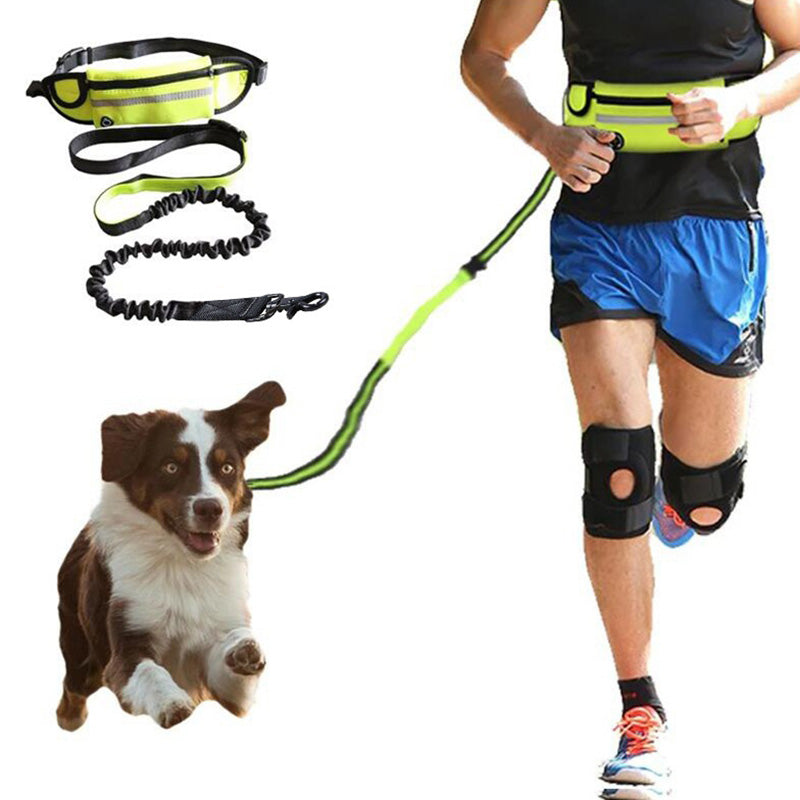 Active Pet | Hands-Free Dog Leash with Shock Absorbing Bungee | Adjustable Design for Comfortable Walking 1