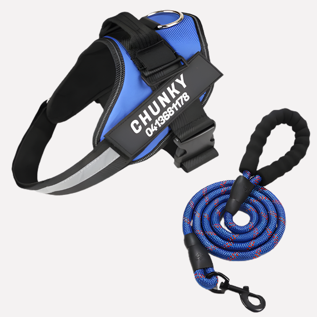 Personalized Anti‑Pull Dog Harness