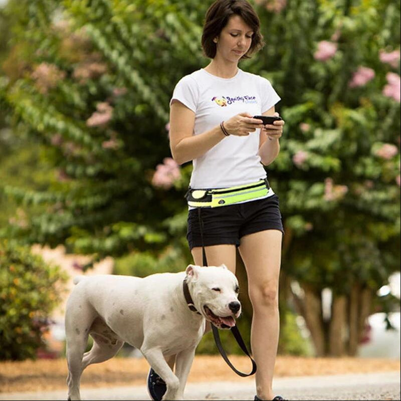 Active Pet | Hands-Free Dog Leash with Shock Absorbing Bungee | Adjustable Design for Comfortable Walking 4