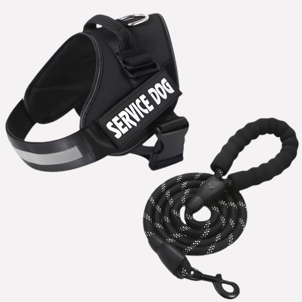 Personalized Anti‑Pull Dog Harness