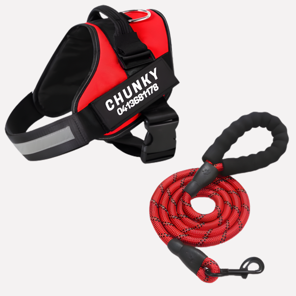 Personalized Anti‑Pull Dog Harness
