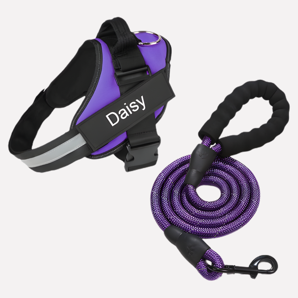 Personalized Anti‑Pull Dog Harness