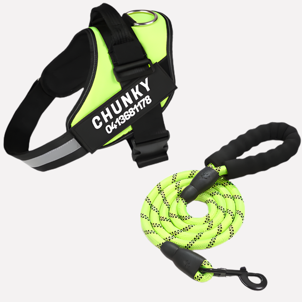 Personalized Anti‑Pull Dog Harness