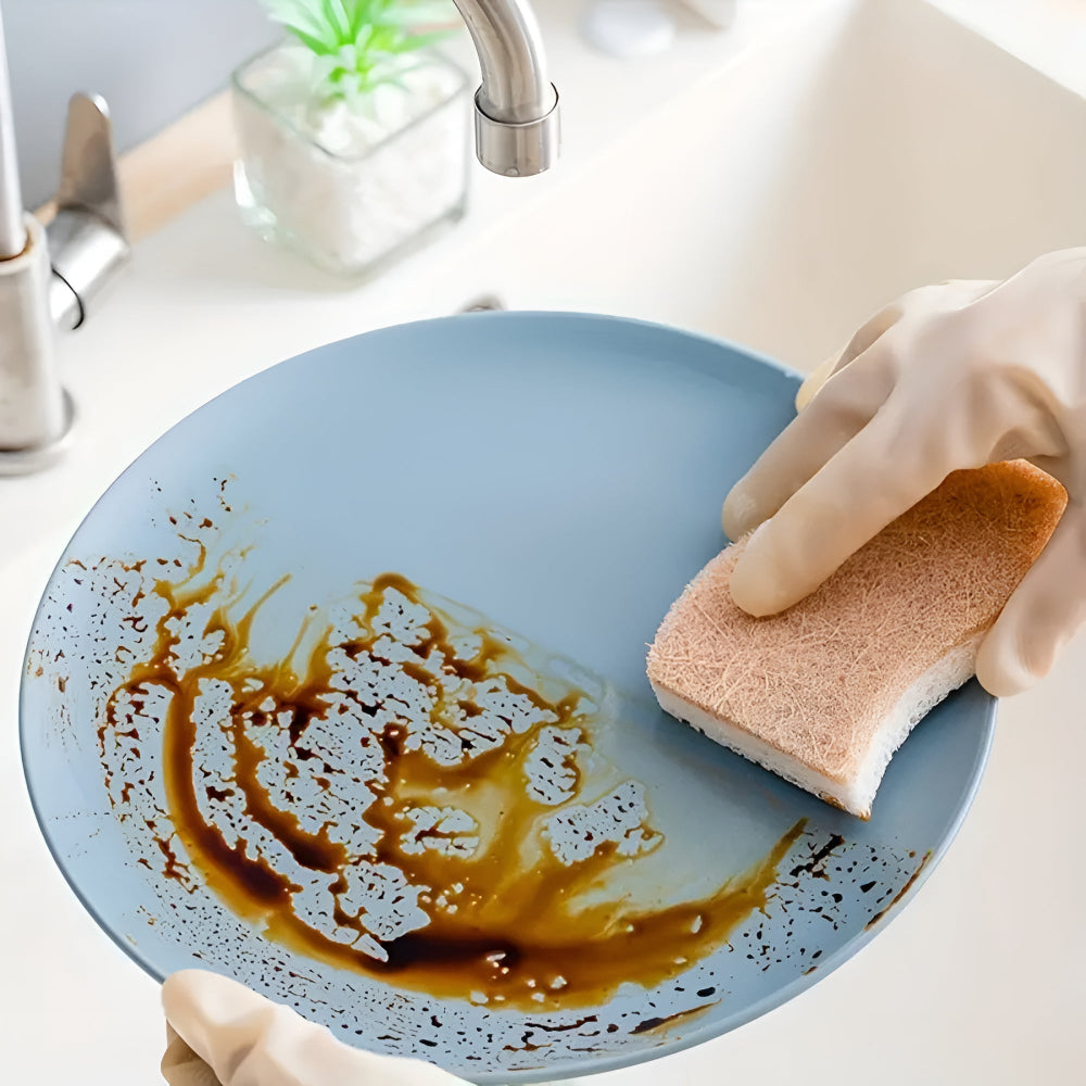 Coconut Fibre Natural Dish Sponge 2