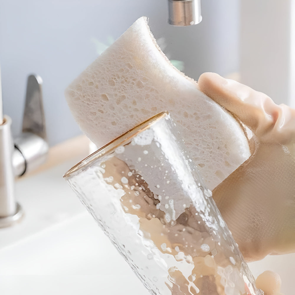 Coconut Fibre Natural Dish Sponge 5