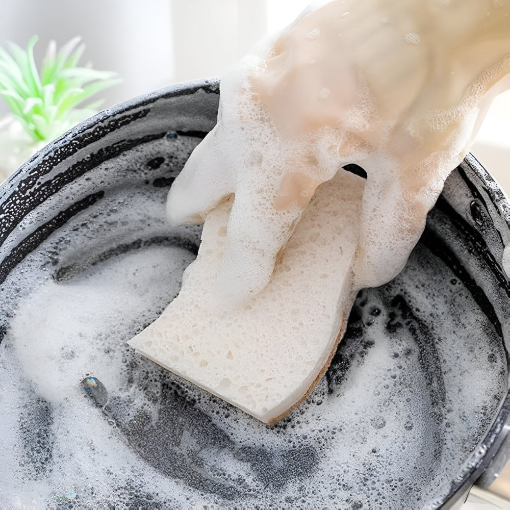 Coconut Fibre Natural Dish Sponge 6
