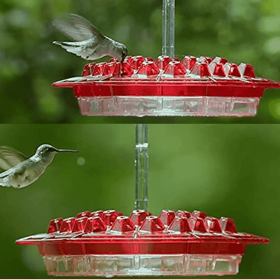 Hummingbird Feeder | 30 Feeding Ports with Ant Moat | Easy Fill Design for Attracting Hummingbirds 5
