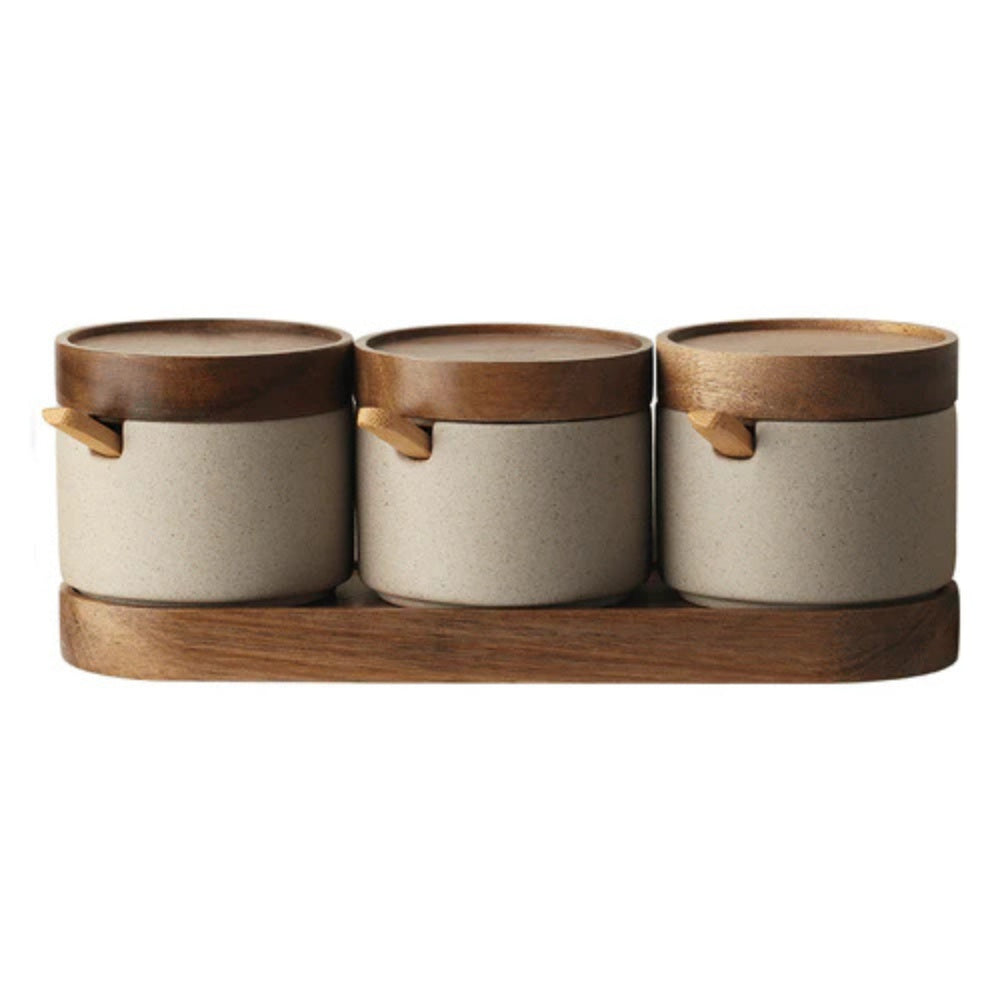 Rustic Ceramic Seasoning Jar Set 6