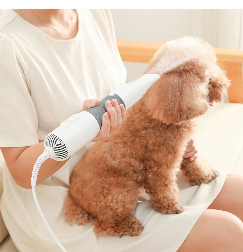 3-in-1 Dog Hair Dryer and Grooming Brush - Cooking Gadget | Easy Cooking | Professional Kitchen