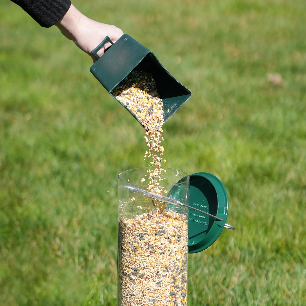 Wildlife Haven | Hanging Bird Feeder with Squirrel-Proof Design | Durable Solution for Backyard Birdwatching 2