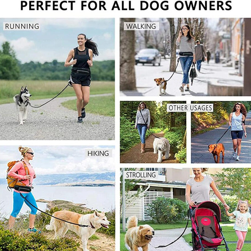 Active Pet | Hands-Free Dog Leash with Shock Absorbing Bungee | Adjustable Design for Comfortable Walking 3