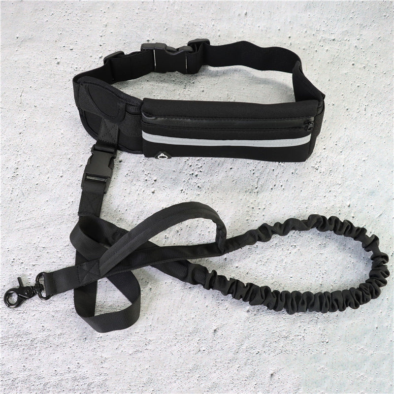 Active Pet | Hands-Free Dog Leash with Shock Absorbing Bungee | Adjustable Design for Comfortable Walking 2