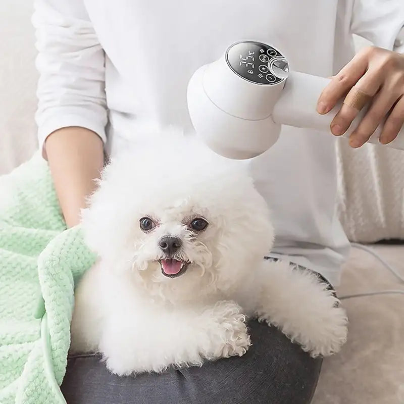 2 in 1 Smart Dog Hair Dryer - Easy Cooking | Time Saving | Durable