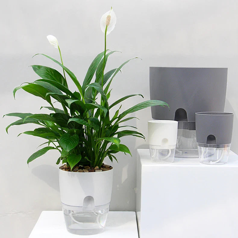 Self Watering Planter - Durable | Chef Quality | Cooking Gadget