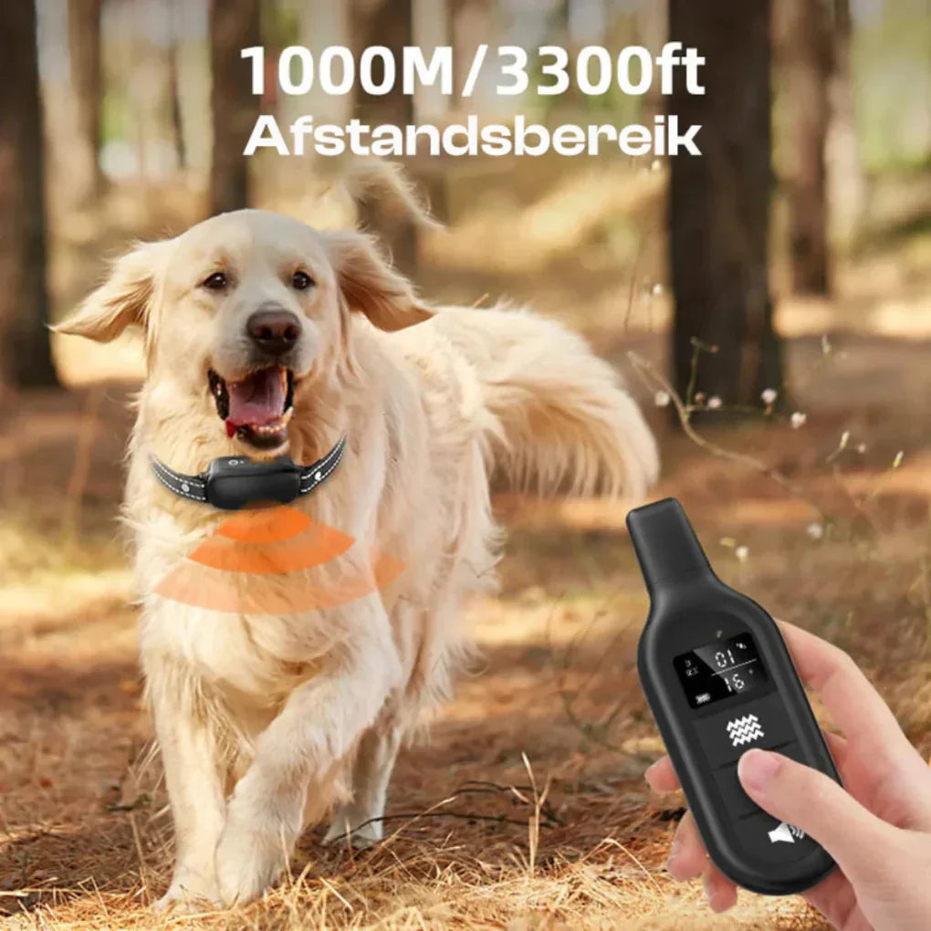 Electric Dog Training Collar with Remote Control