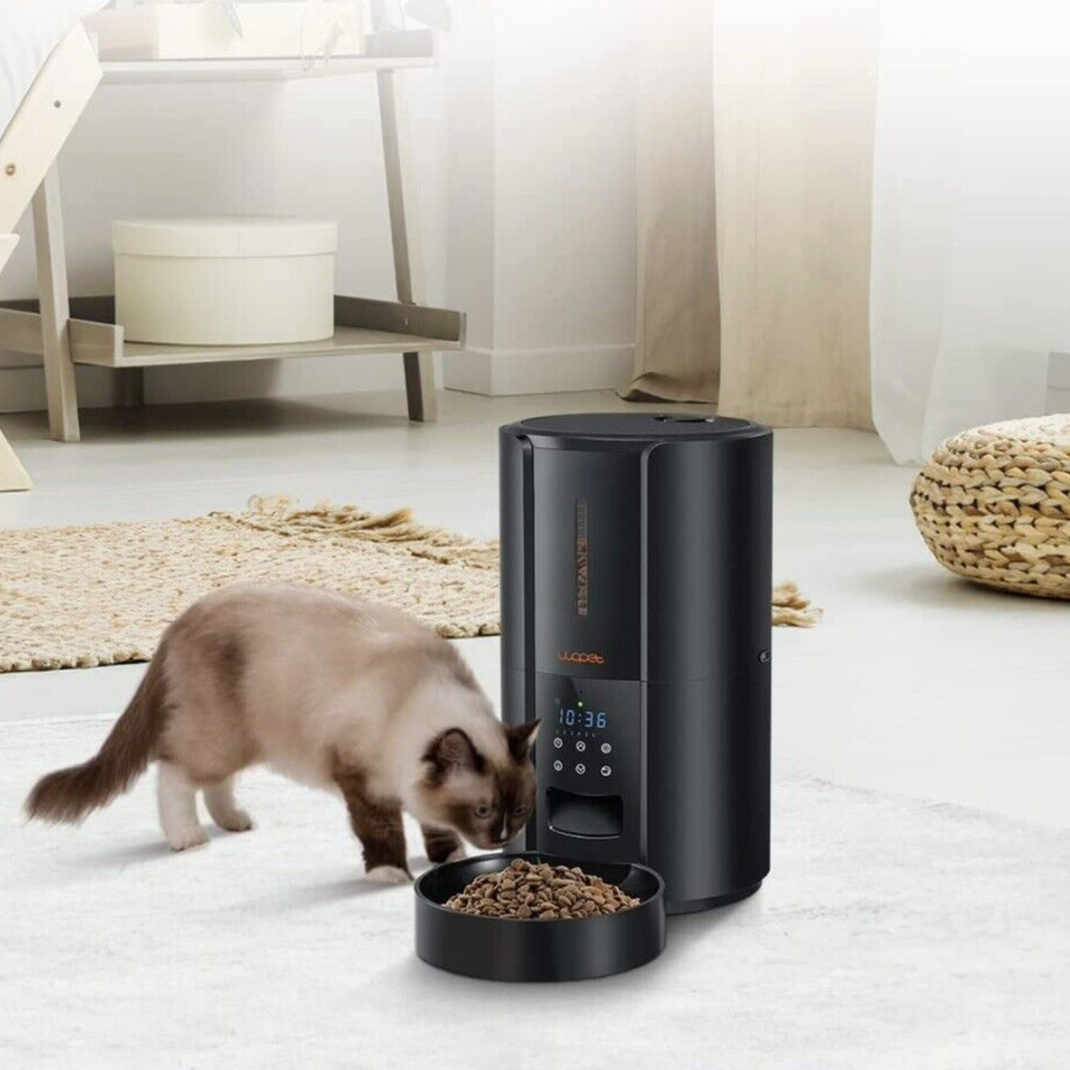 Exclusive Large Automatic Dog Cat Time Pet Food Feeder Dispenser - Durable | Multi-Function | Food Prep