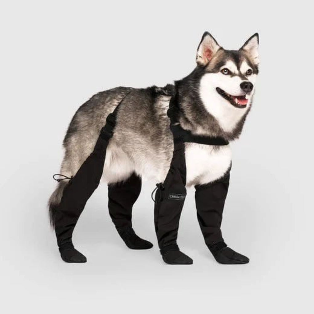 Durable Dog Boots