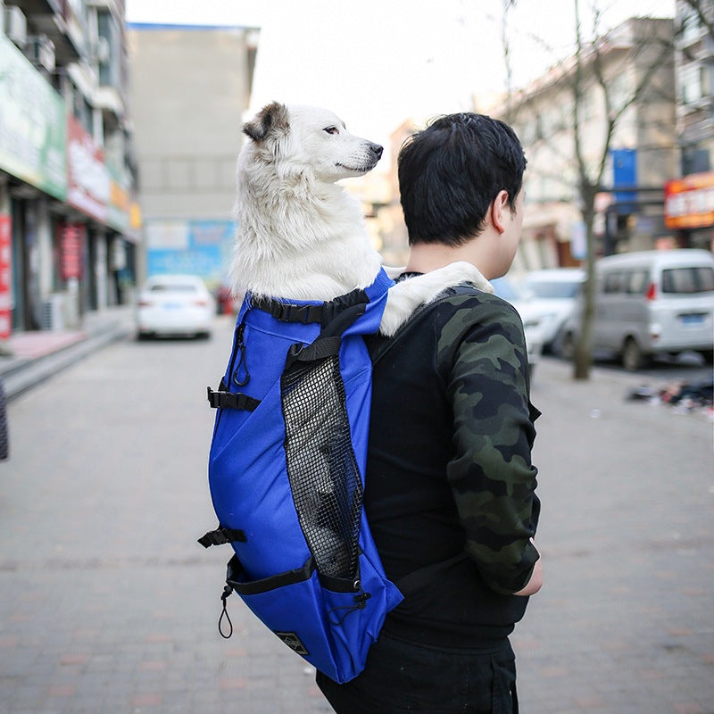 Portable Dog Carrier Bag with Breathable Design | Lightweight Travel Backpack for Small Dogs 7