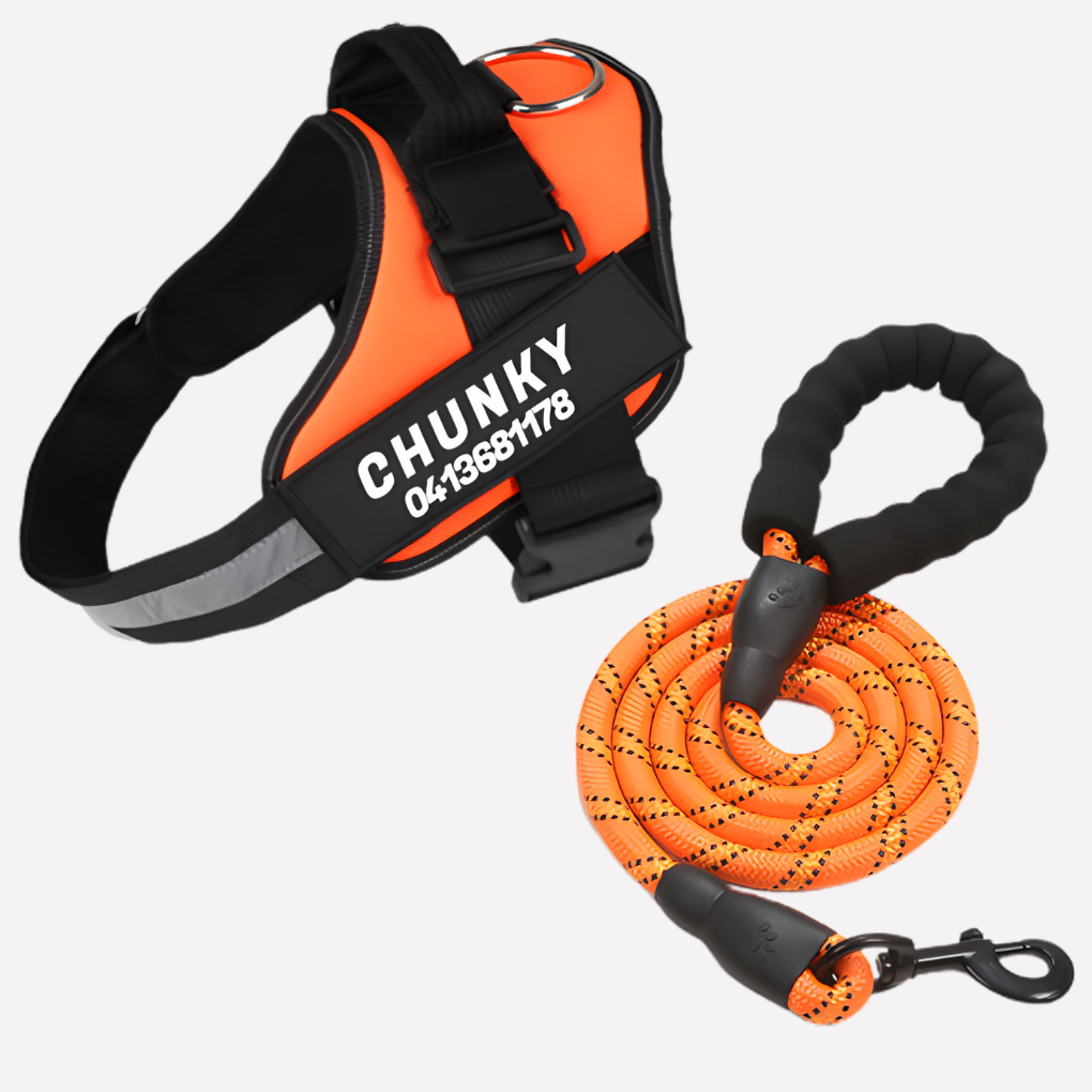 Personalized Anti‑Pull Dog Harness