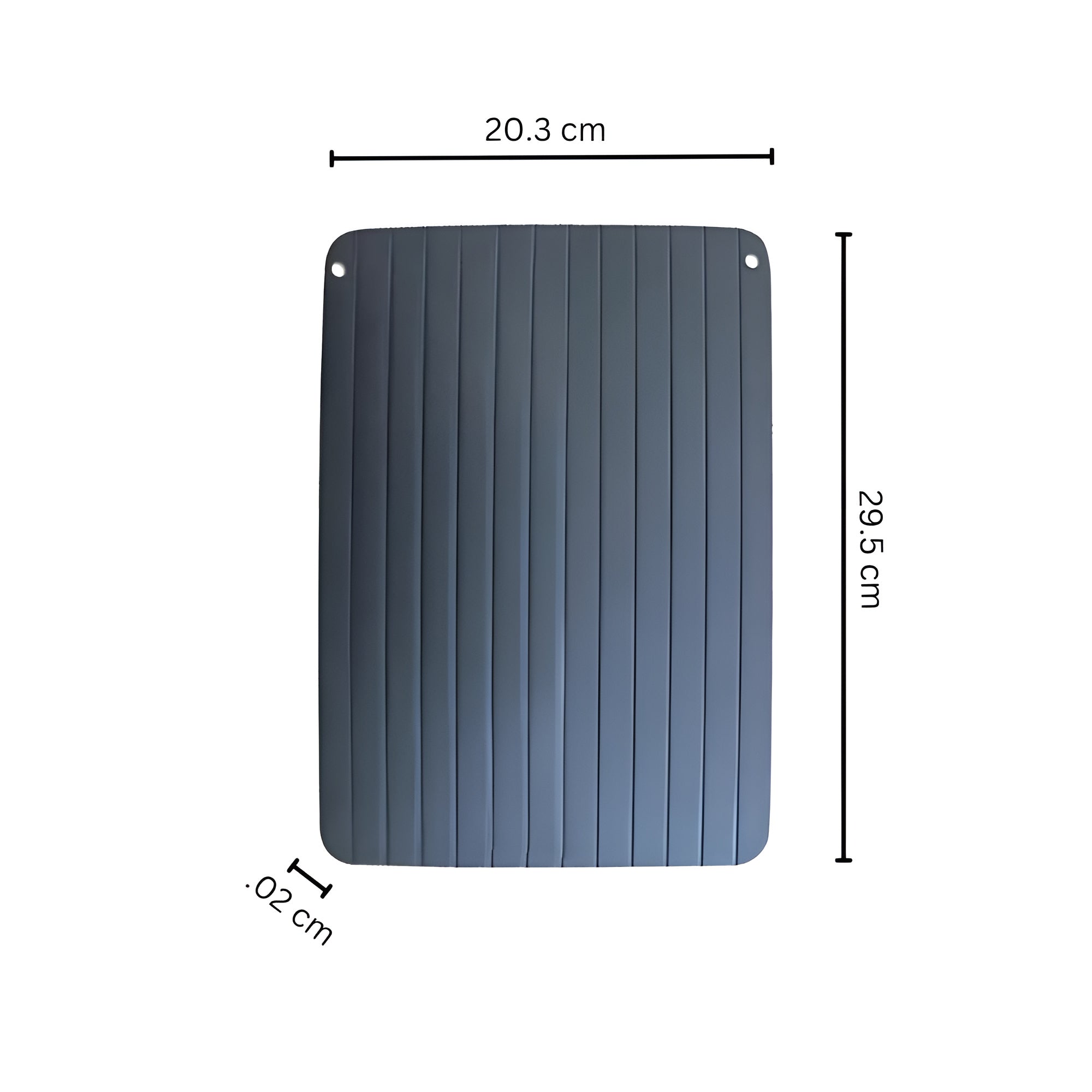 Fast Defrosting Tray 6