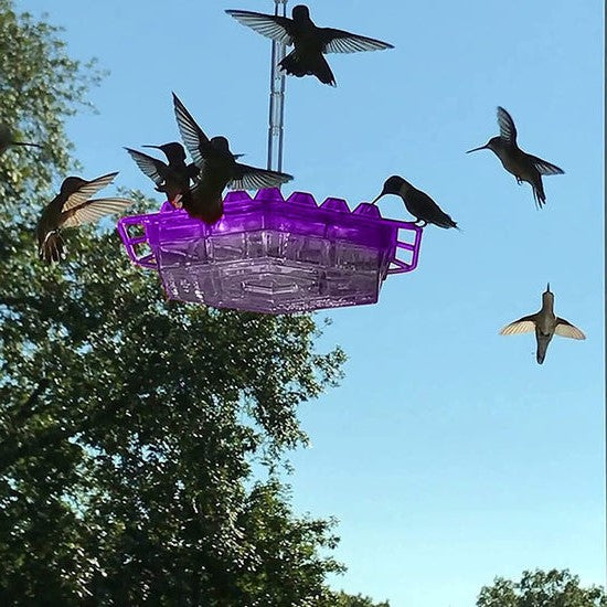Hummingbird Feeder | 30 Feeding Ports with Ant Moat | Easy Fill Design for Attracting Hummingbirds 2