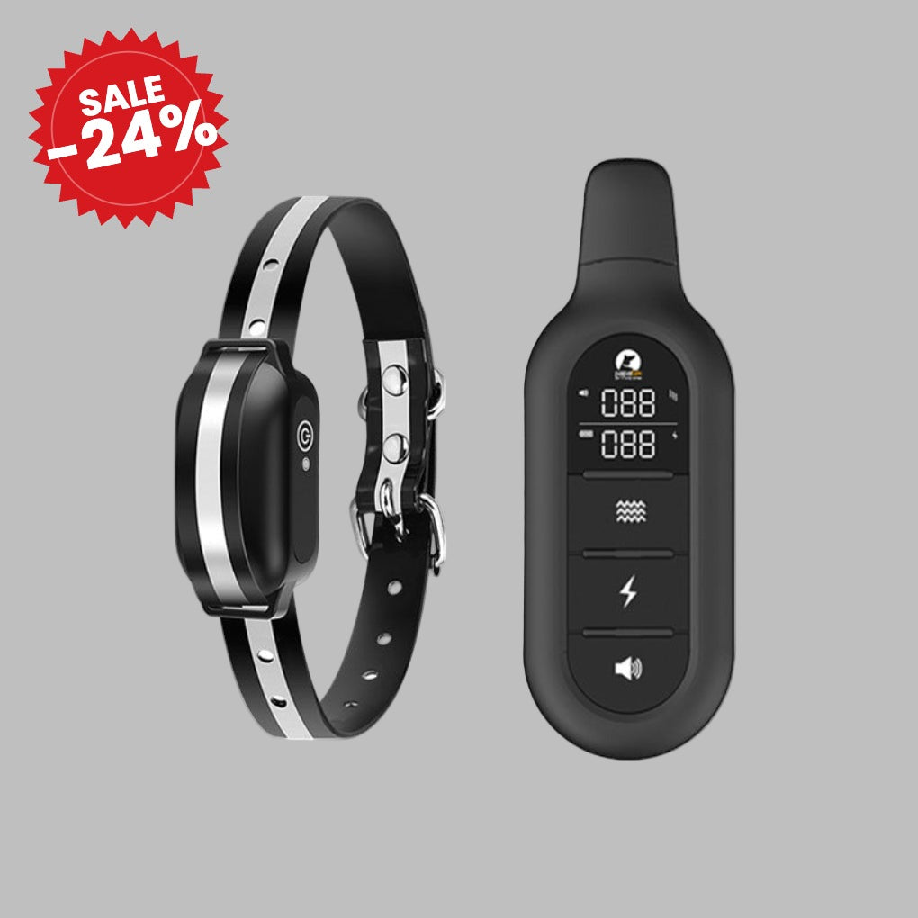 Electric Dog Training Collar with Remote - SALE -24%