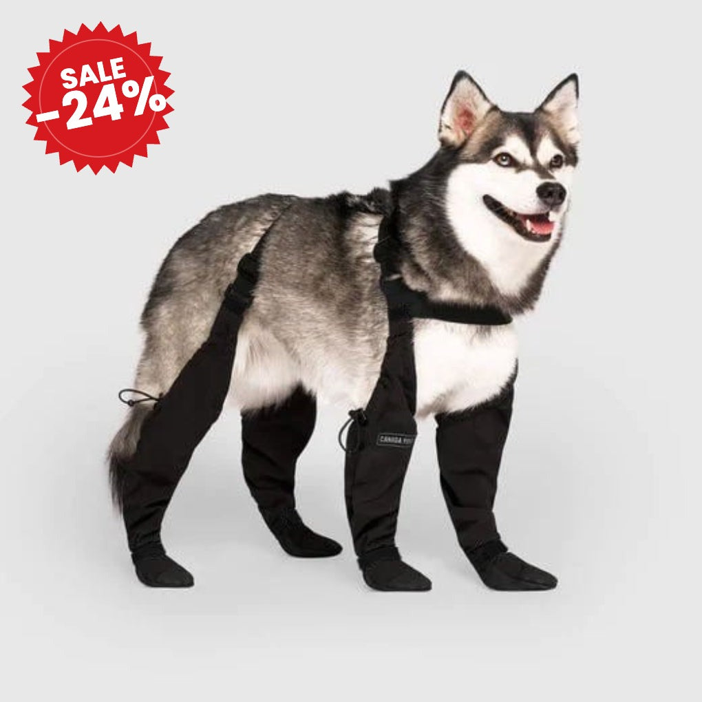 Durable Dog Boots - SALE -24%