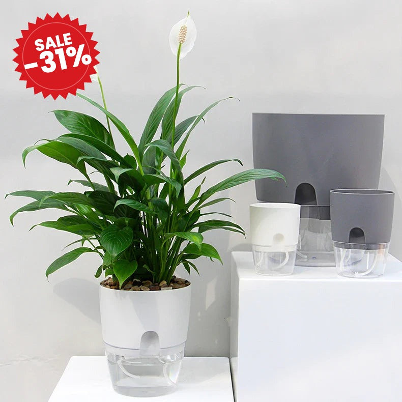 Self Watering Planter - SALE -31%