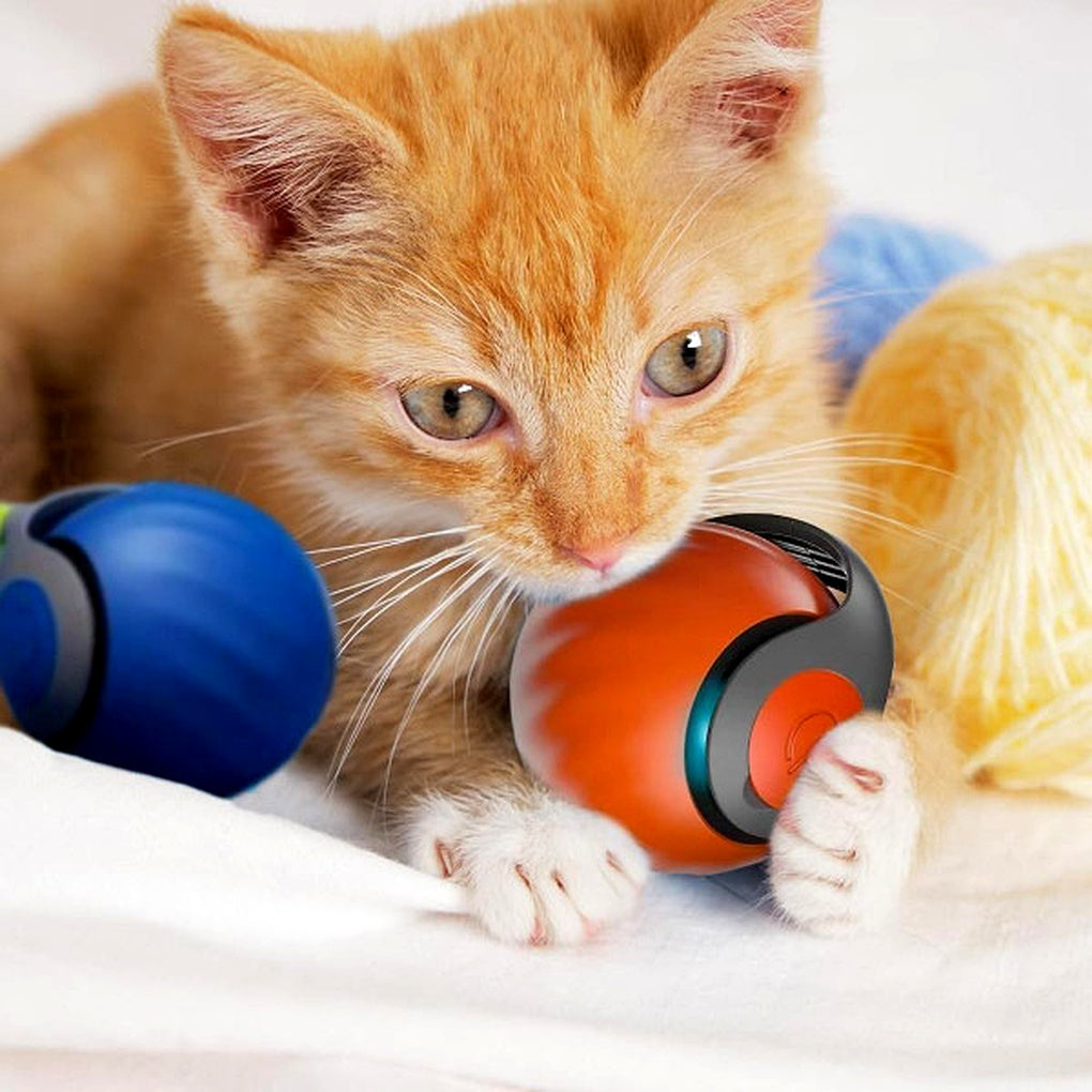 Interactive Cat Ball Toy – Self-Moving Rolling Play Sphere