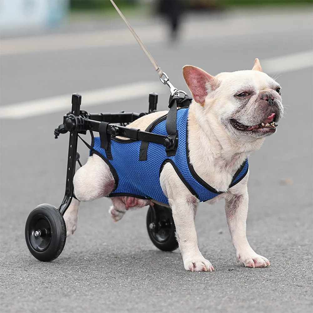 Dog Wheelchair Disability Dog Hind Legs Bracket Cat Dog Injured And Weak Rehabilitation Aid Car Adjustable Pet Walk Boos